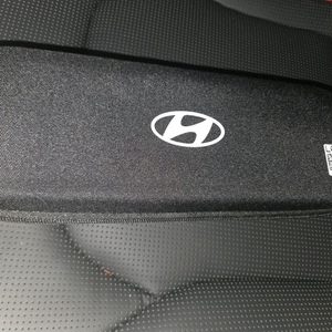 미사용 V2L 커넥터 팔아요