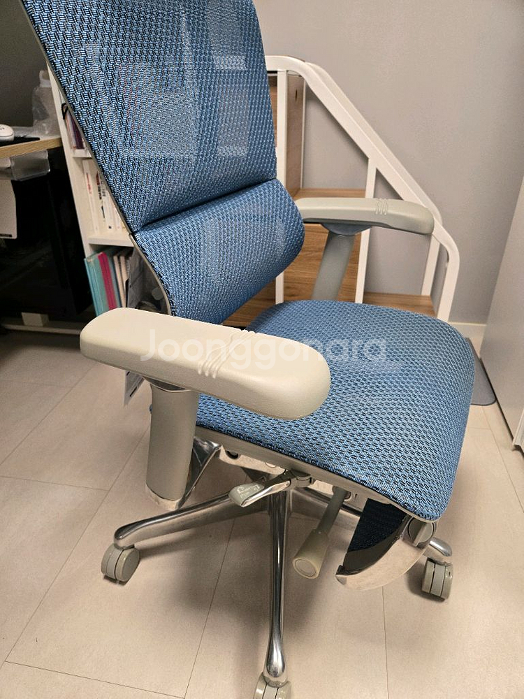 에르고 휴먼 i2 컴포트 국내정발--3