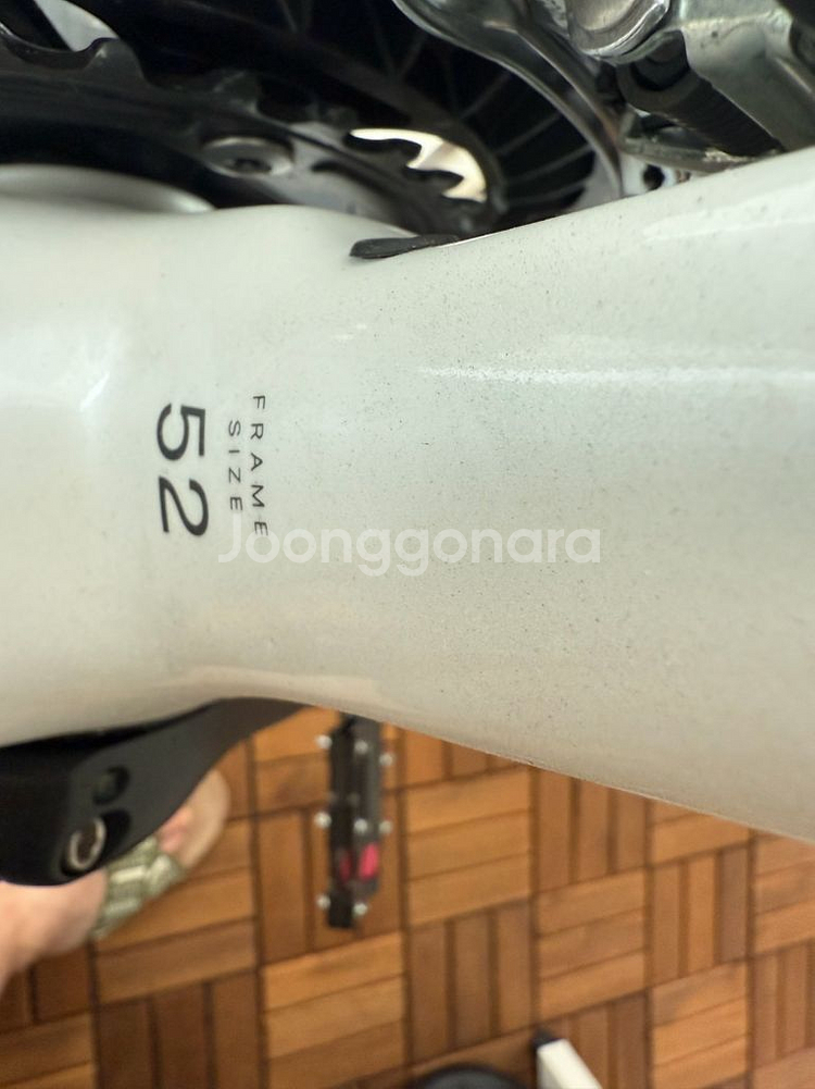 2022트리곤다크니스 SLD 브론즈 로드자전거 105--4