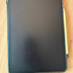 아이패드 프로 11 2세대 + 애플펜슬