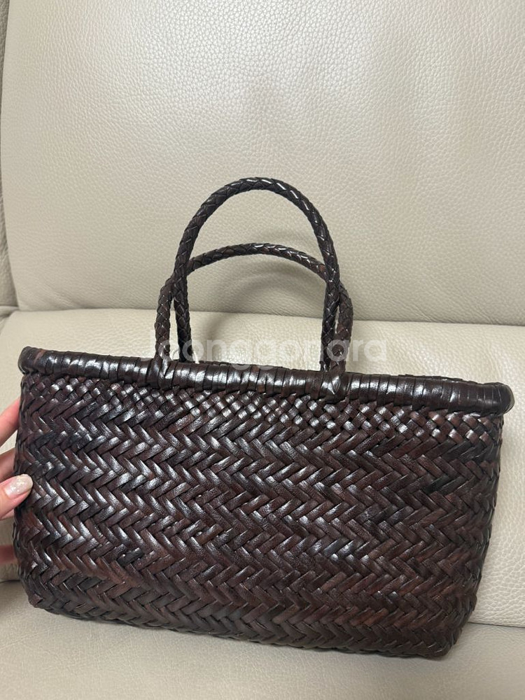 드래곤 미니플랫고라 다크브라운--0