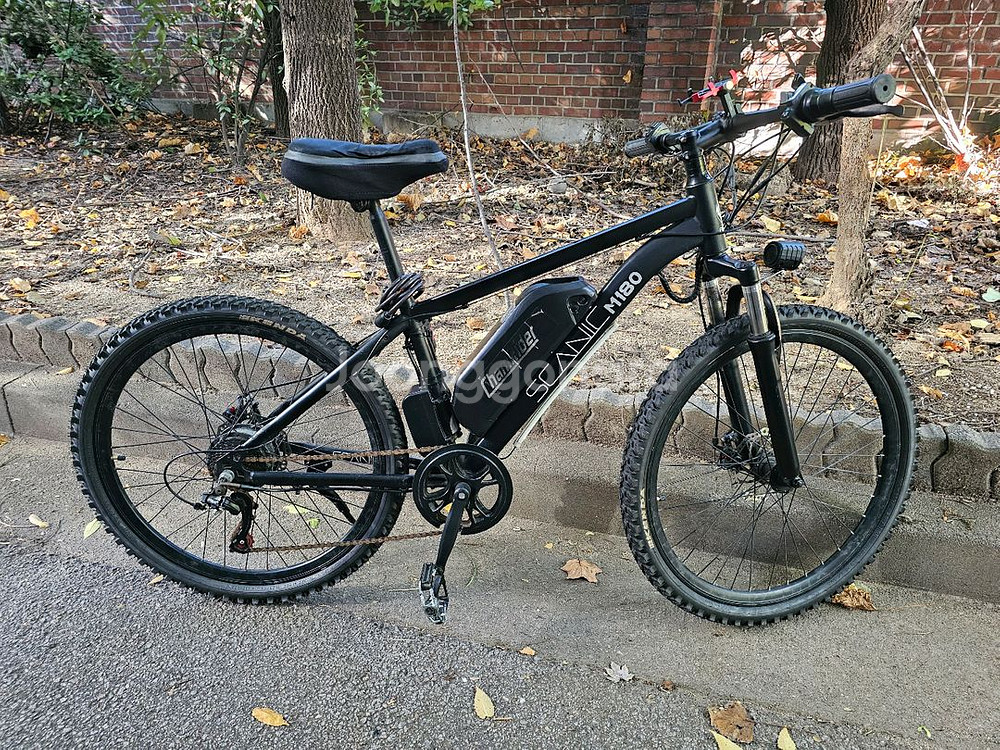 스카닉 M180 20ah 전기자전거--0