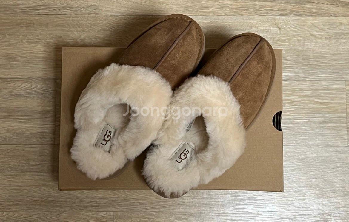 어그 디스케트 240--0