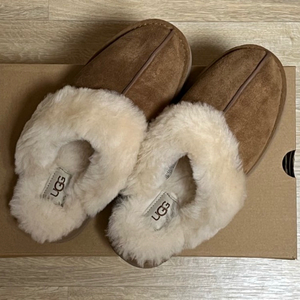 어그 디스케트 240