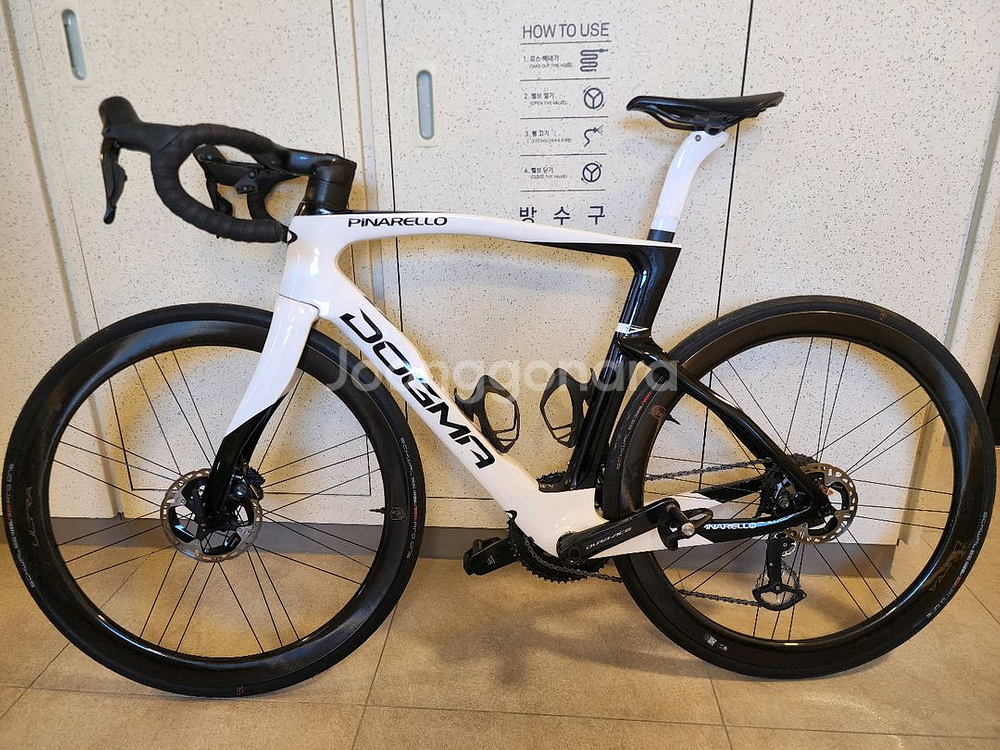 도그마 F 560사이즈 팝니다--0