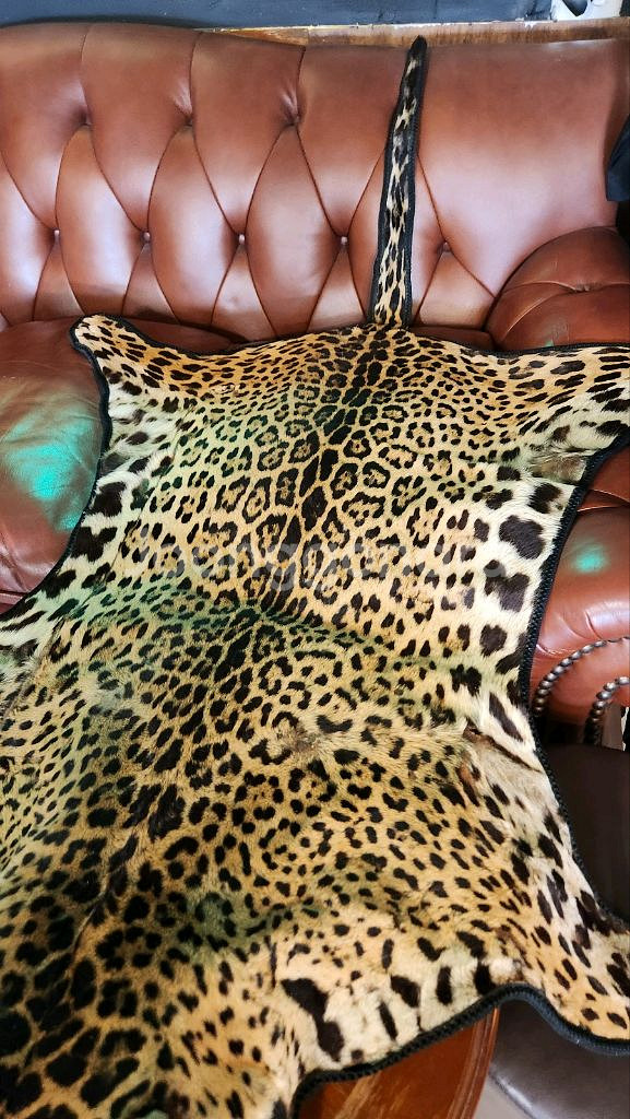 표범털가죽 장식 팝니다.--2