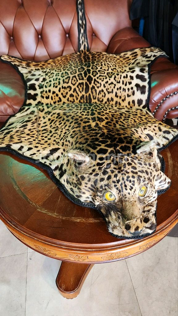 표범털가죽 장식 팝니다.--3