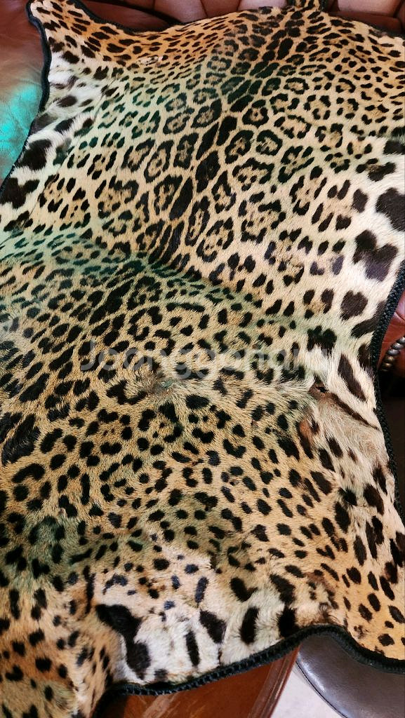 표범털가죽 장식 팝니다.--4