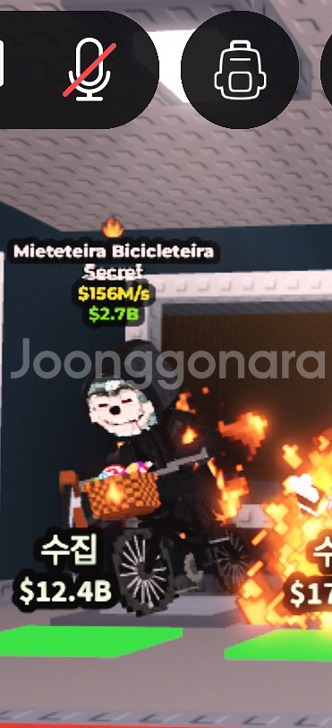 사신치클 156m 브레인로트--0