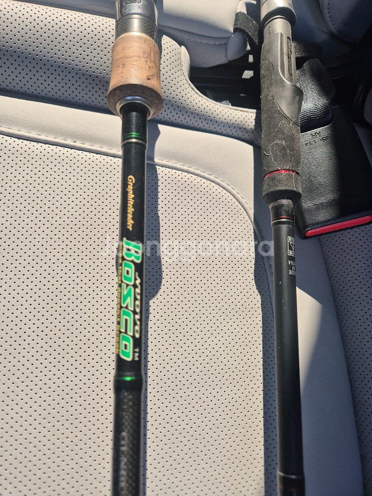 엔에스 타란튤라 . 올림픽 누보 보스코--1