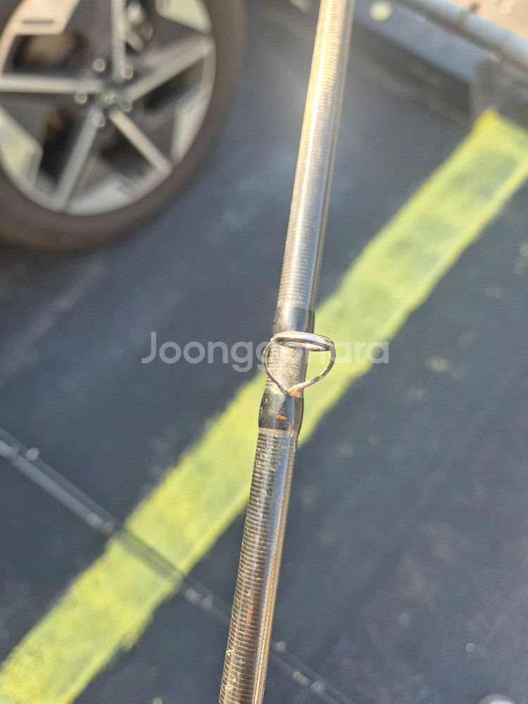 엔에스 타란튤라 . 올림픽 누보 보스코--3