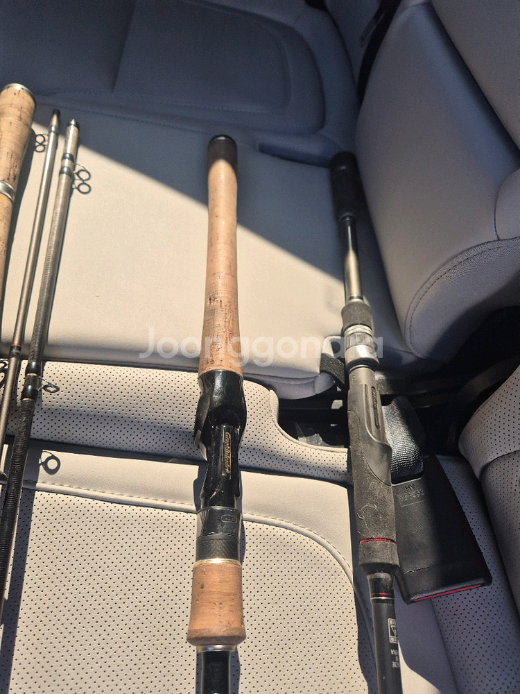 엔에스 타란튤라 . 올림픽 누보 보스코--0