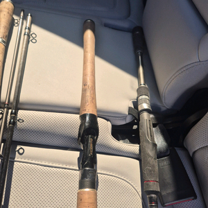 엔에스 타란튤라 . 올림픽 누보 보스코