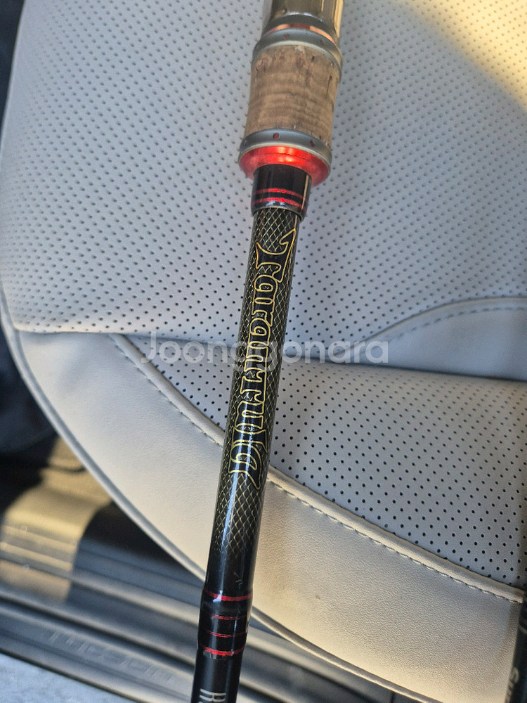 엔에스 타란튤라 . 올림픽 누보 보스코--5