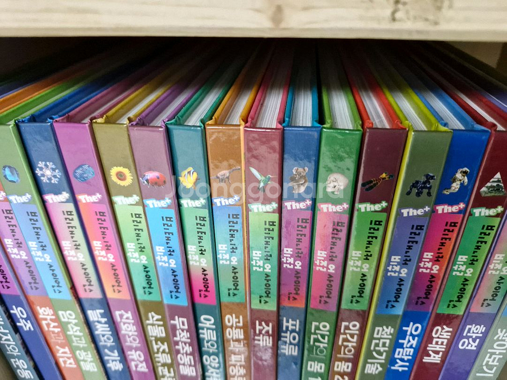 최신개정판) 브리태니커 비주얼 사이언스 (더 플러스)--1