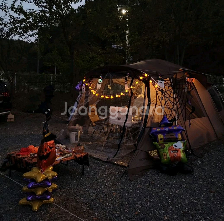 코베아 네스트W 브라운--2