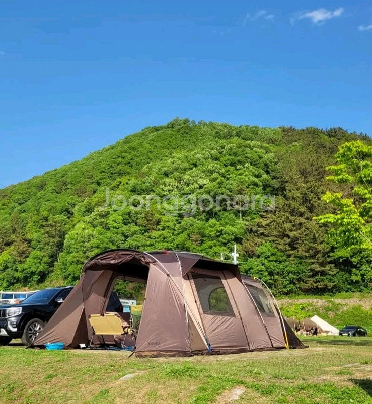 코베아 네스트W 브라운--1