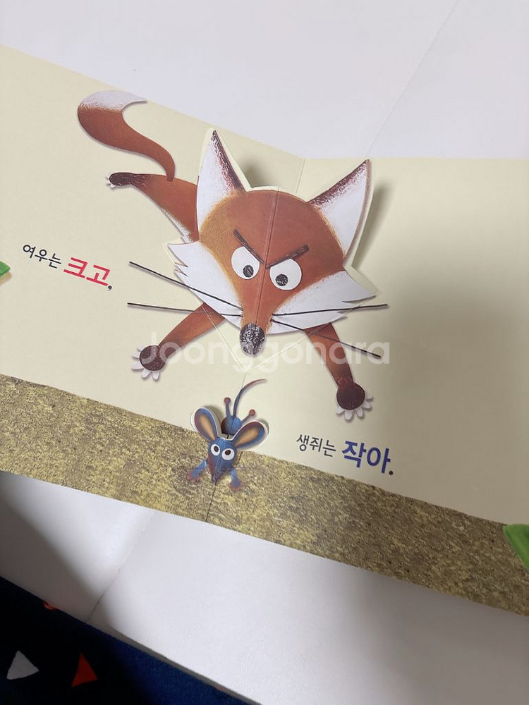 베이비올수과학 40권 전구성--4