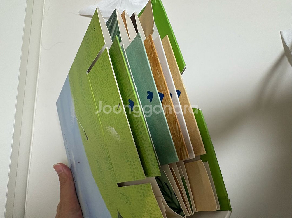 베이비올수과학 40권 전구성--1