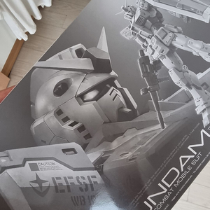 RG 퍼스트건담 2.0 G3 컬러 판매합니다