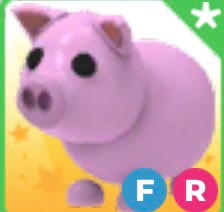 입양하세요 날타돼지--0