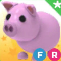 입양하세요 날타돼지