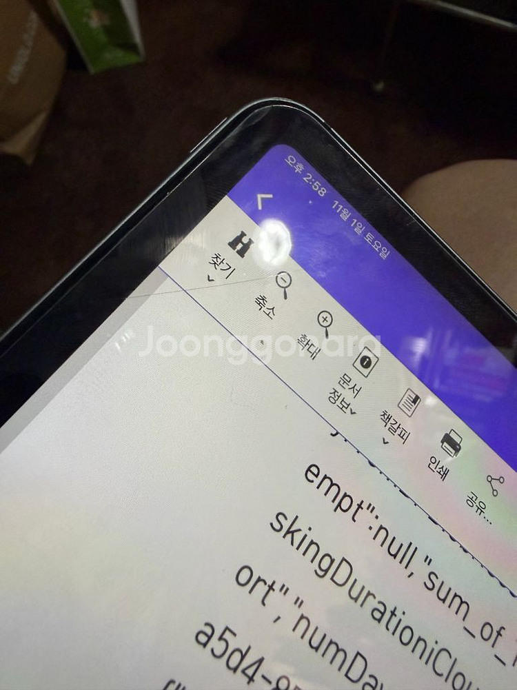 아이패드 프로 12.9 4세대--2