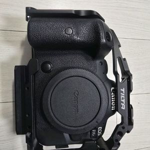캐논 R6 카메라 바디