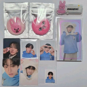 스키즈 창빈 세트 돼끼 스키주 뱃지 트레카 다마고치 포카 폴라로이드 증사 스트레이키즈