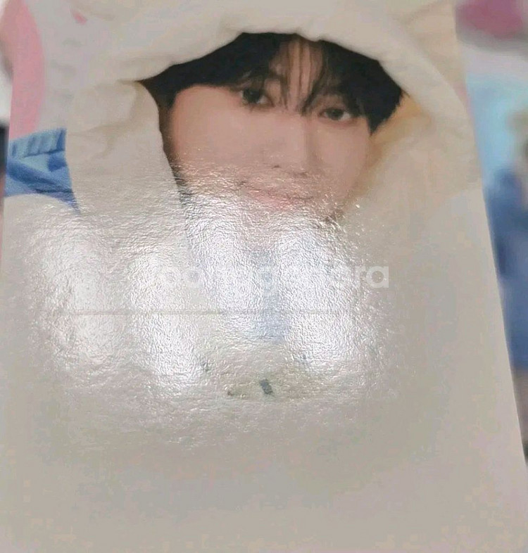 스키즈 창빈 세트 돼끼 스키주 뱃지 트레카 다마고치 포카 폴라로이드 증사 스트레이키즈--1