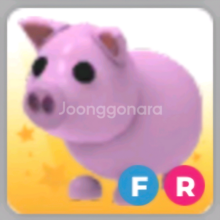 입양하세요 돼지 판매합니다--0