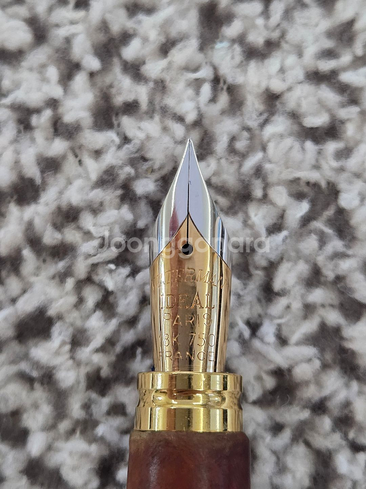 워터맨 맨 100 브라이어우드 F 만년필--5