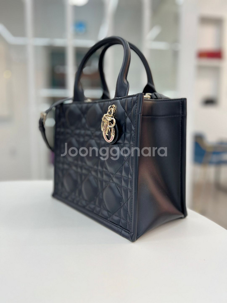 [중고명품 럭스올 울산점]디올 북토트 스몰 백 까나쥬 토트백--1