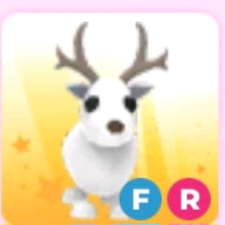 입양 날타흰순팔아요