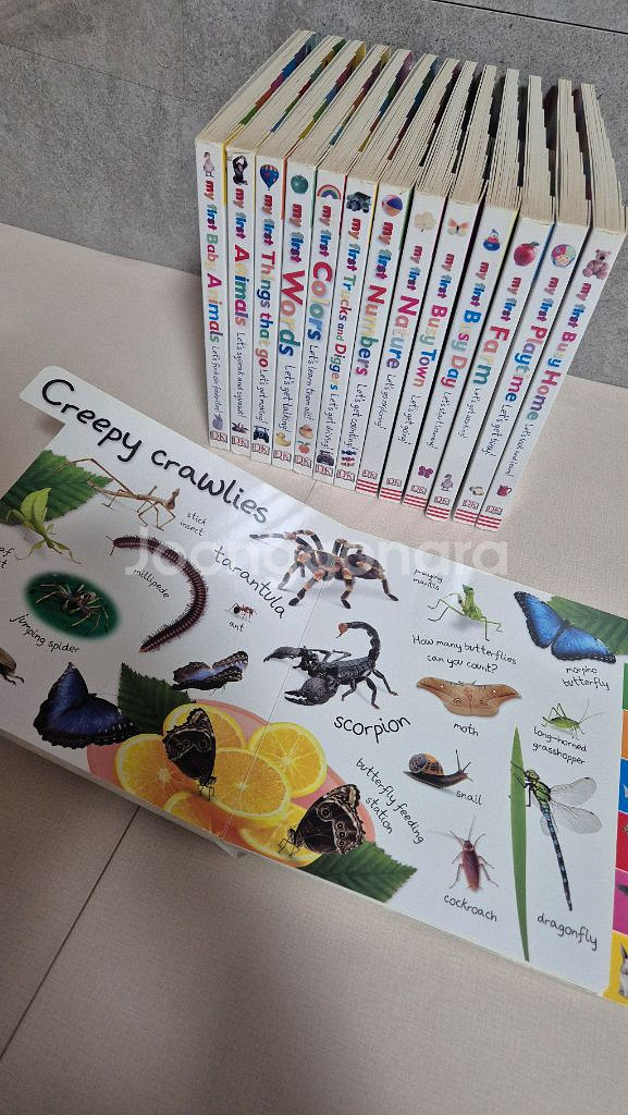 DK My First Collection 보드북 14권--1