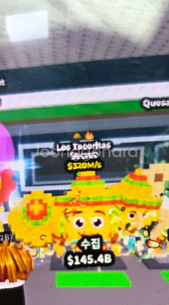 브훔 한정 브레인롯 로스 타코리타스--0