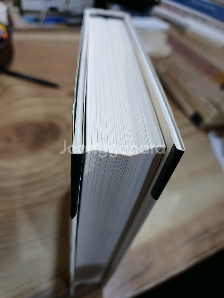 미학적인간 (호모에스테티쿠스)--1