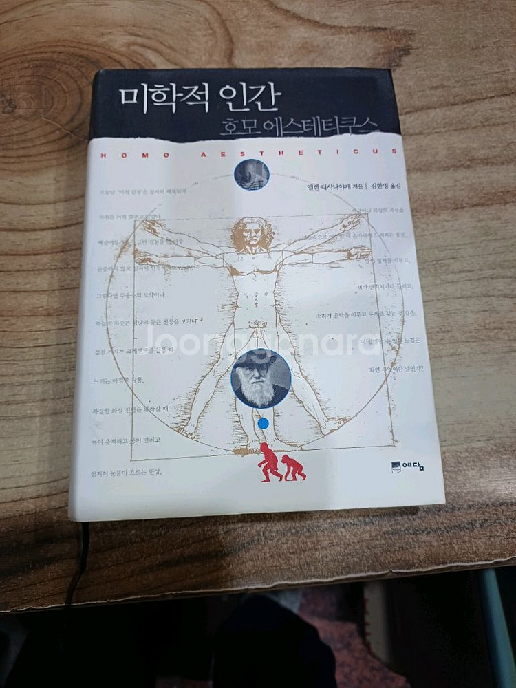 미학적인간 (호모에스테티쿠스)--0