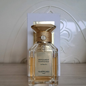 겔랑 베르가못 판타스티코, 커정 로 아라로즈, TDC 도쿄블룸