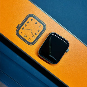 애플워치 5 에르메스 44mm 실버 셀룰러