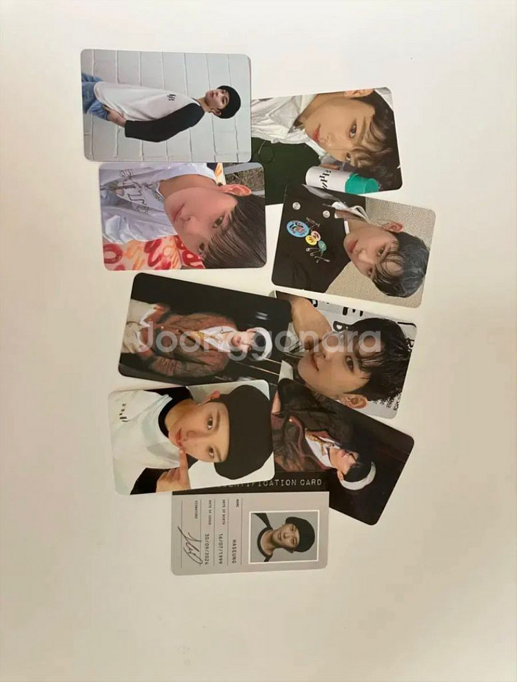 휘브 앨범 포카--8