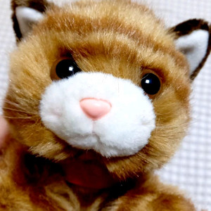 조이풀메이트 타케노코 갈색 고양이 빈티지 인형