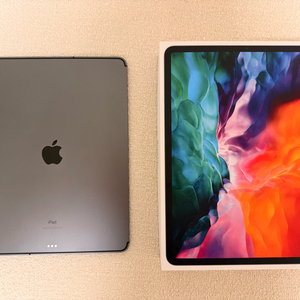 아이패드프로 12.9 / 4세대 / 256g / 셀룰러