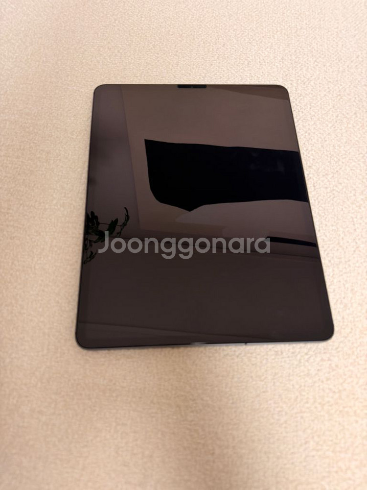 아이패드프로 12.9 / 4세대 / 256g / 셀룰러--6