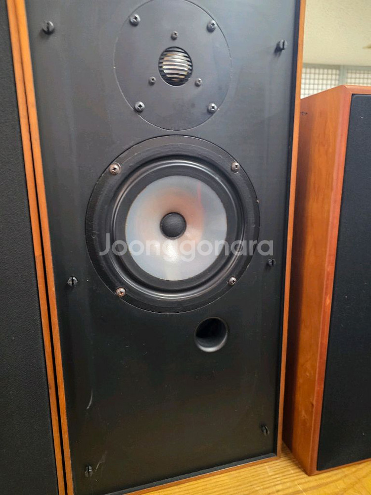 로저스 스튜디오1 스피커--0