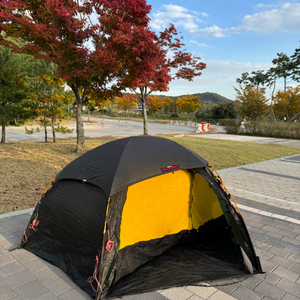 힐레베르그 알락2 그린 파커스 정품