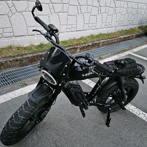 엑스라이더 X200pro 전기자전거 자토바이