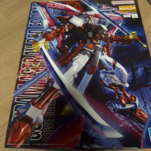 건담 mg 아스트레이 레드 프레임