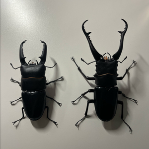 반다이 생물대도감 어드밴스 기라파, 팔라완 일괄