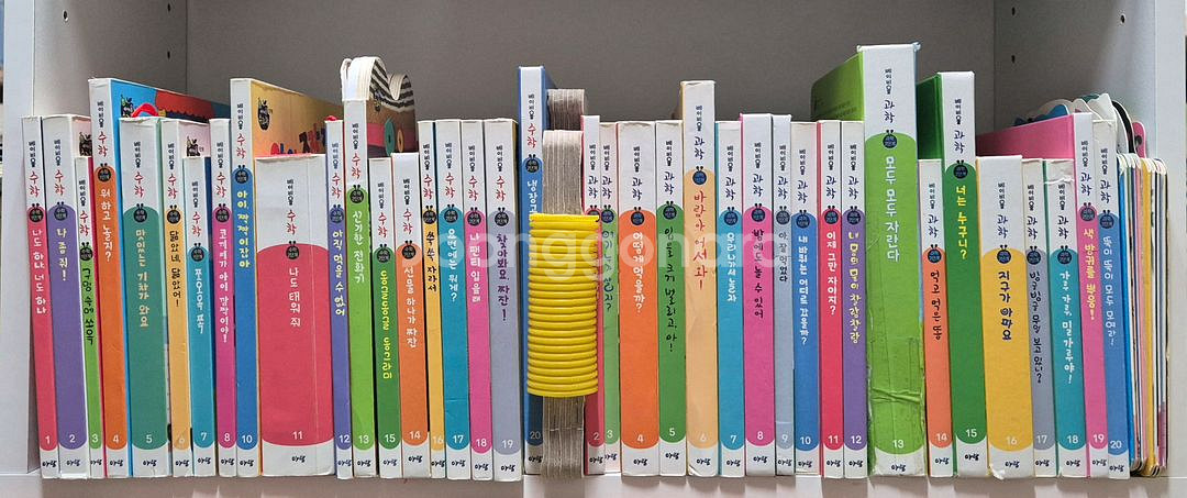 베이비올 창작 , 베이비올 수과학 일괄 택포--0